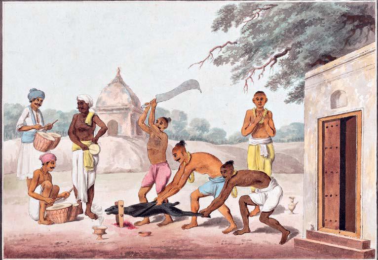 Colonial Shades